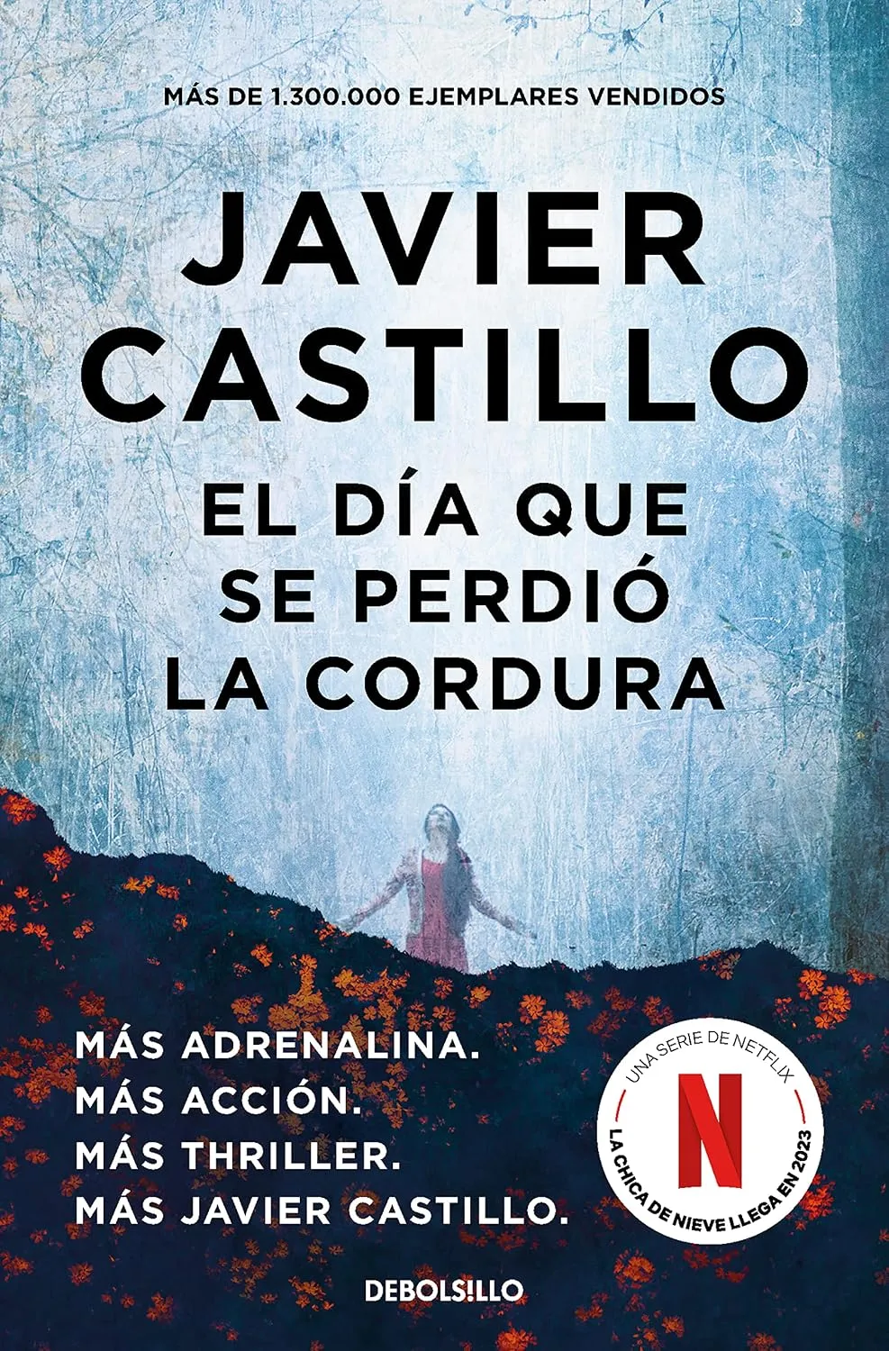 Portada de El día que se perdió la cordura